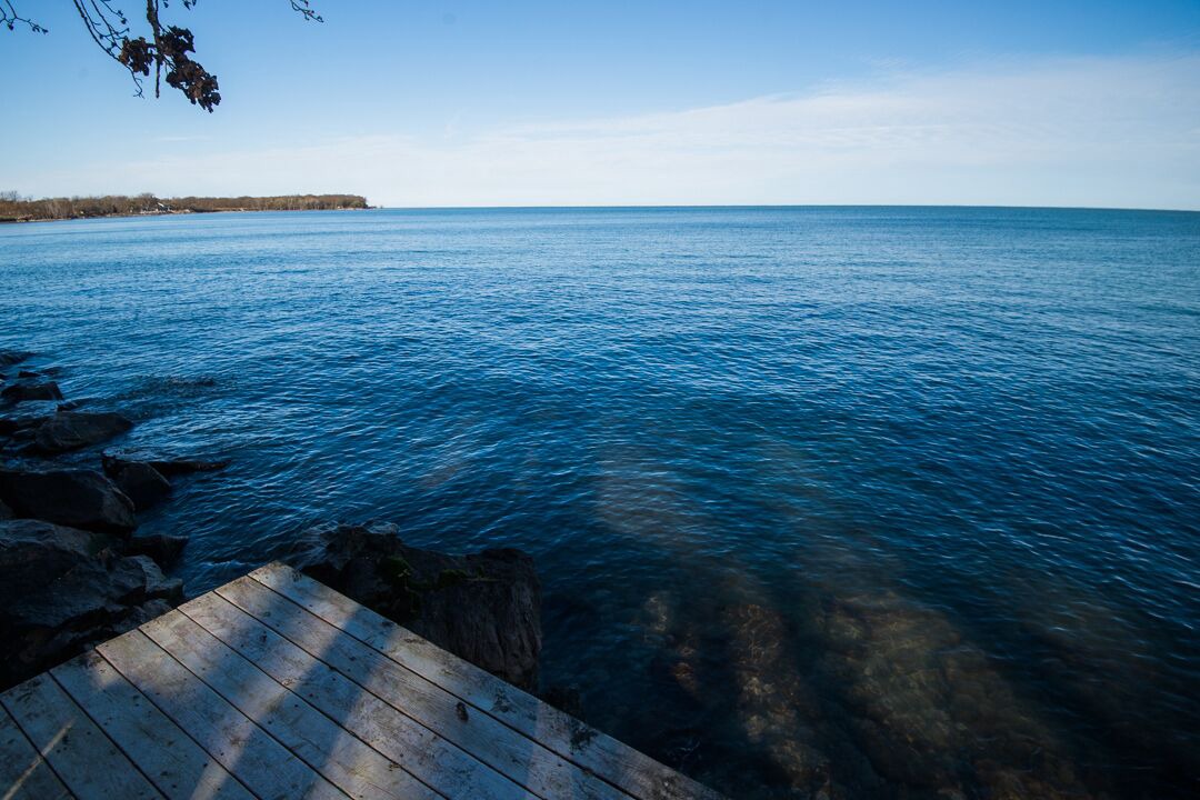 Photo of Outdoor in Kingsville