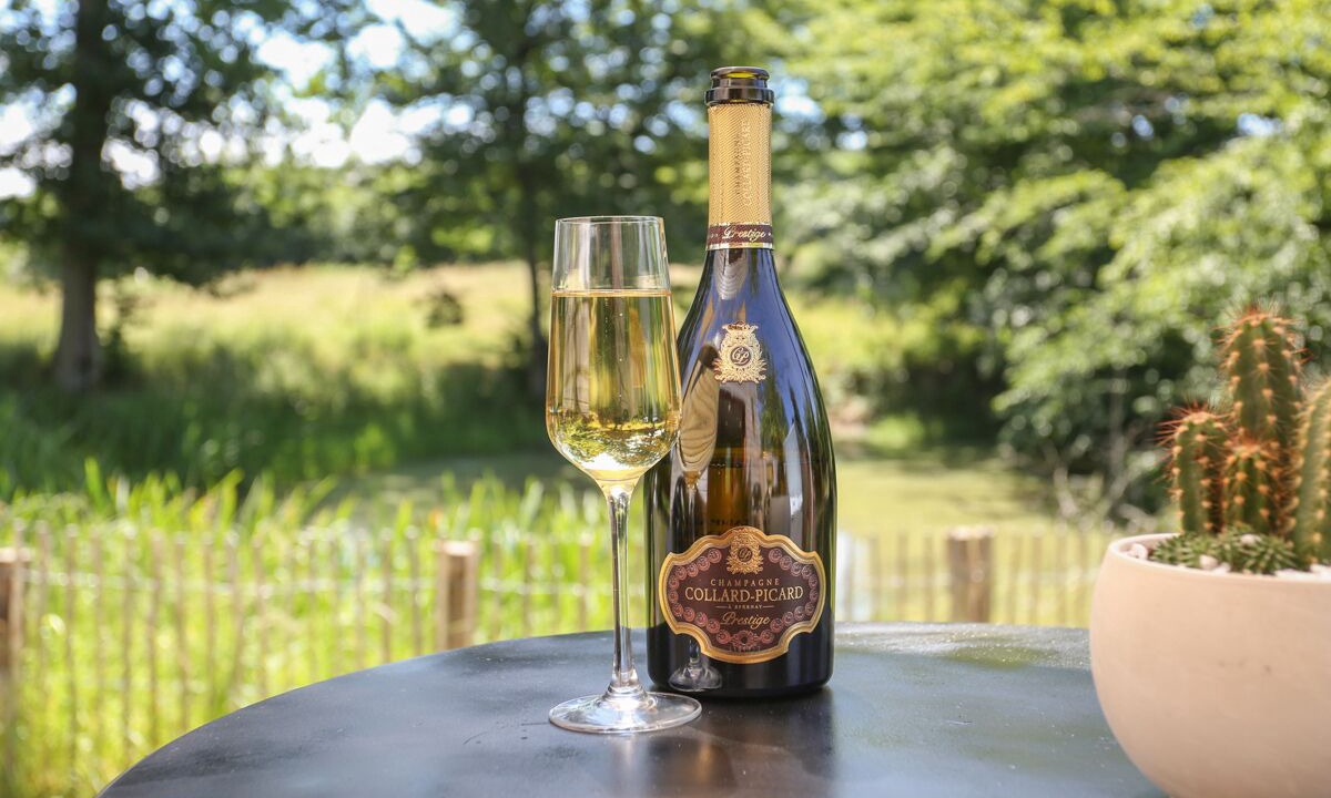 Photo of Others in Saint-Fargeau