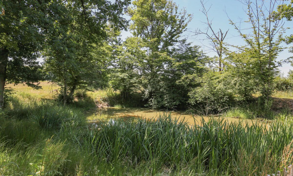 Photo of Outdoor in Saint-Fargeau