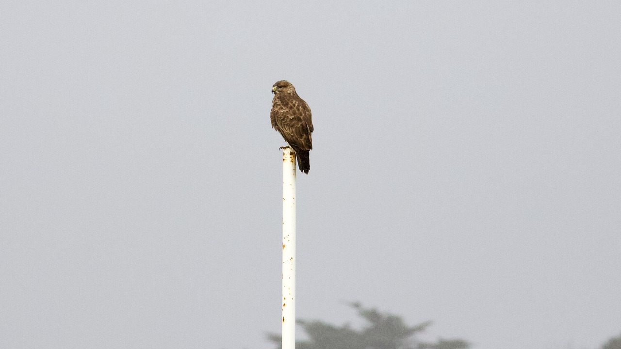 Photo of Others in Falmouth