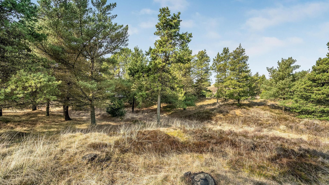 Photo of Others in Bolilmark