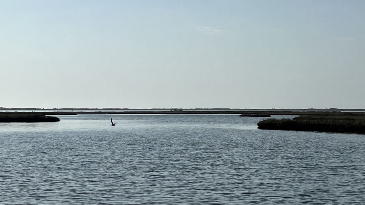 Photo of Others in Bayside