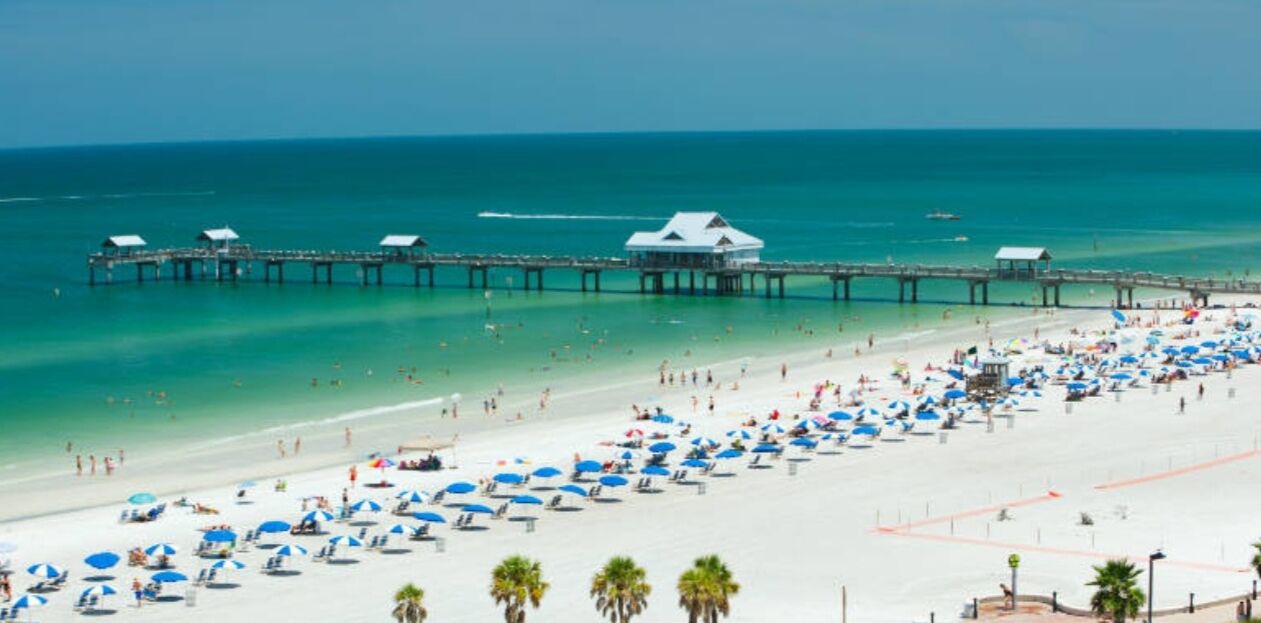Photo of Others in Clearwater