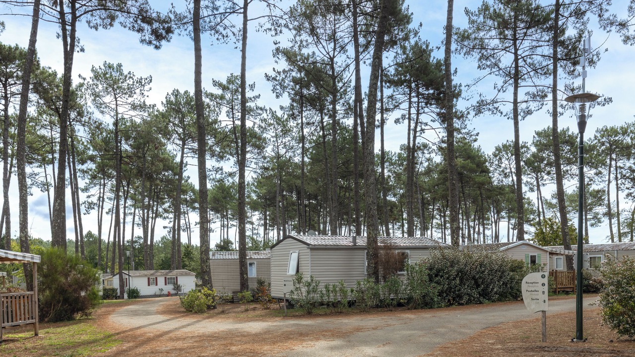 Photo of Outdoor in Saint-Julien-en-Born