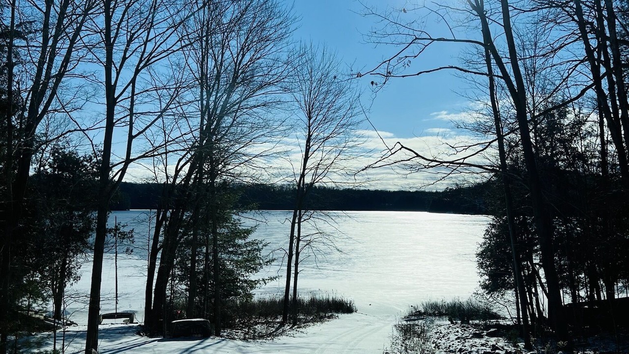 Photo of Outdoor in Seguin