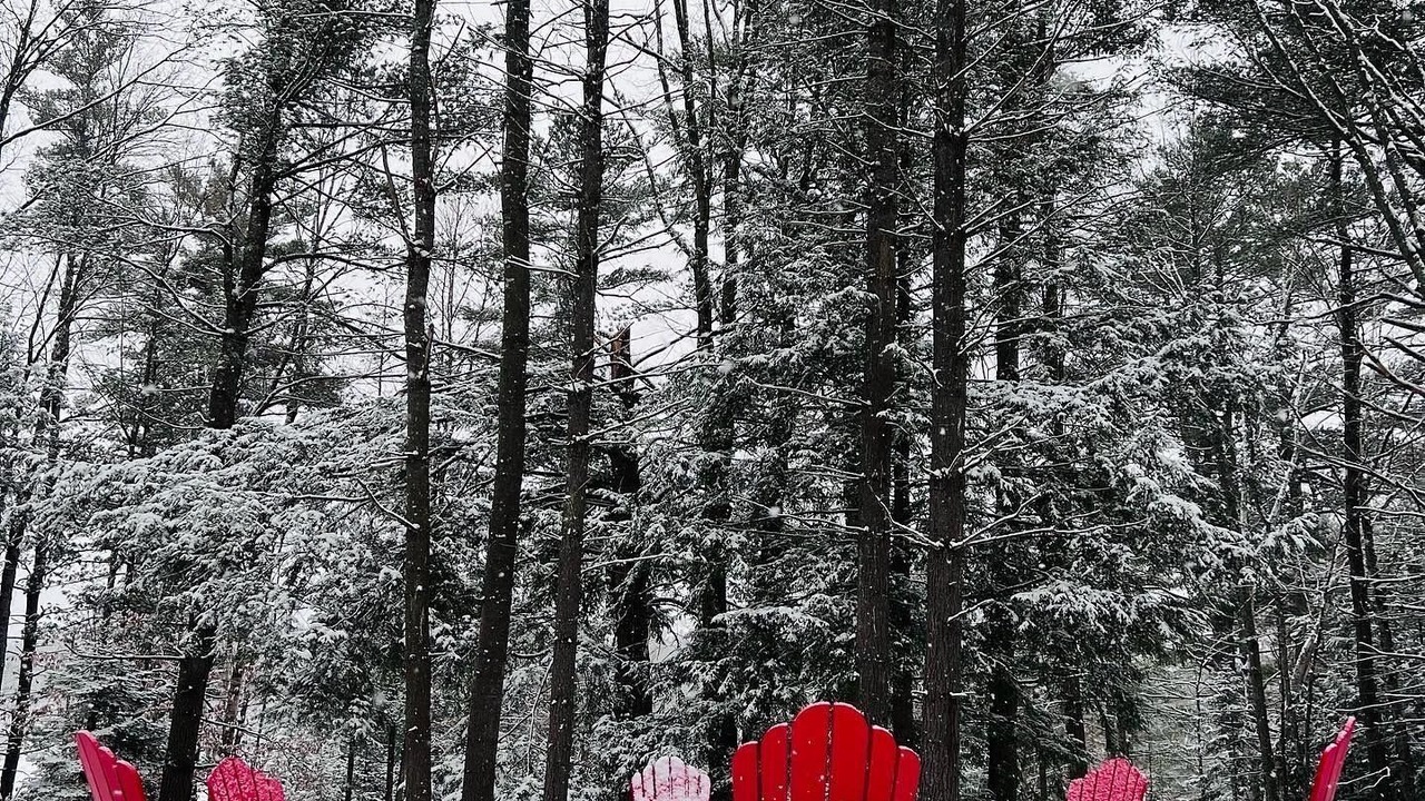 Photo of Outdoor in Seguin