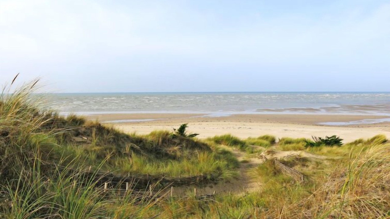 Photo of Others in Creances