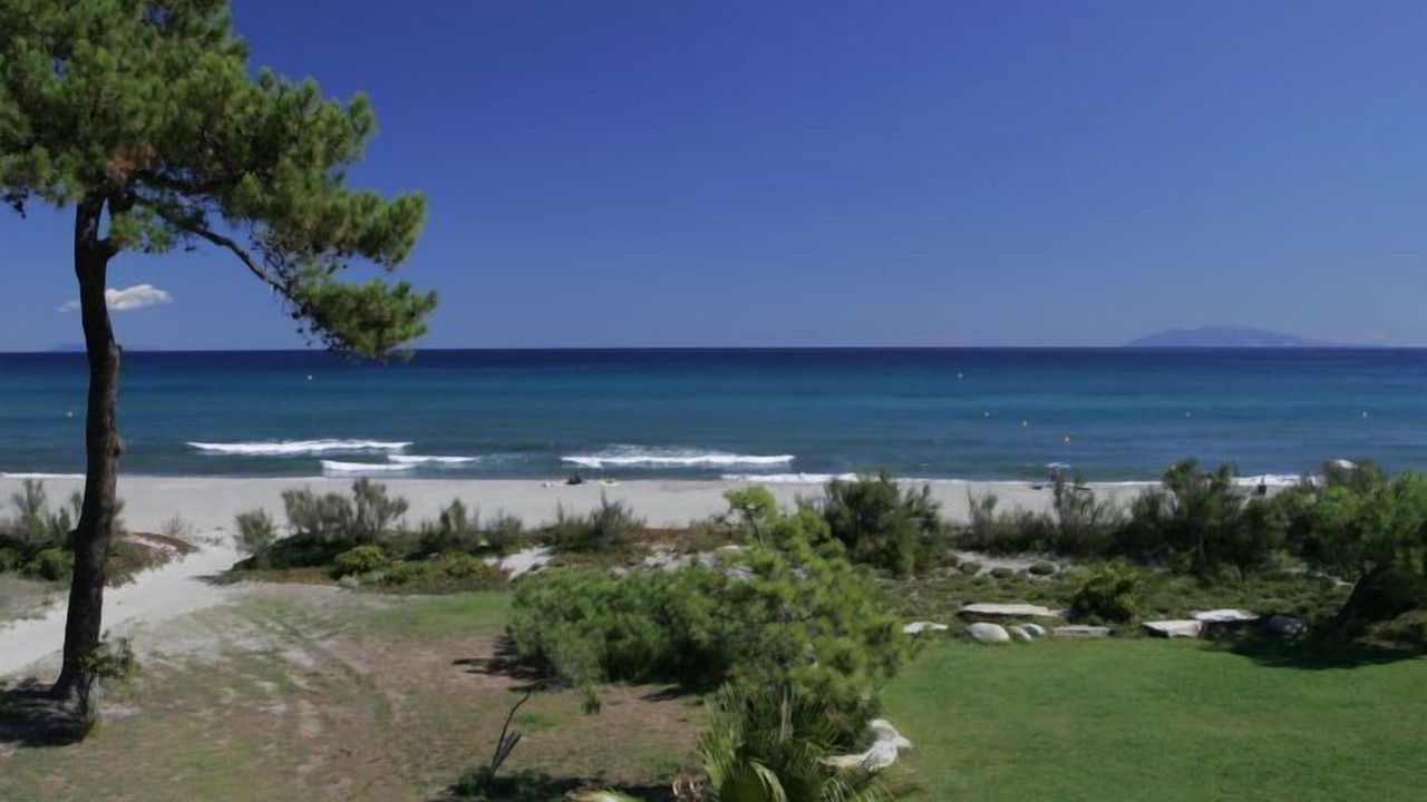 Photo of Others in Pineto