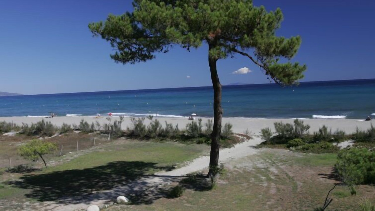 Photo of Others in Pineto