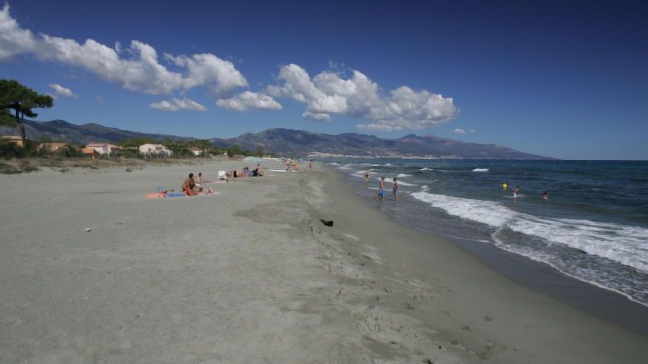 Photo of Others in Pineto