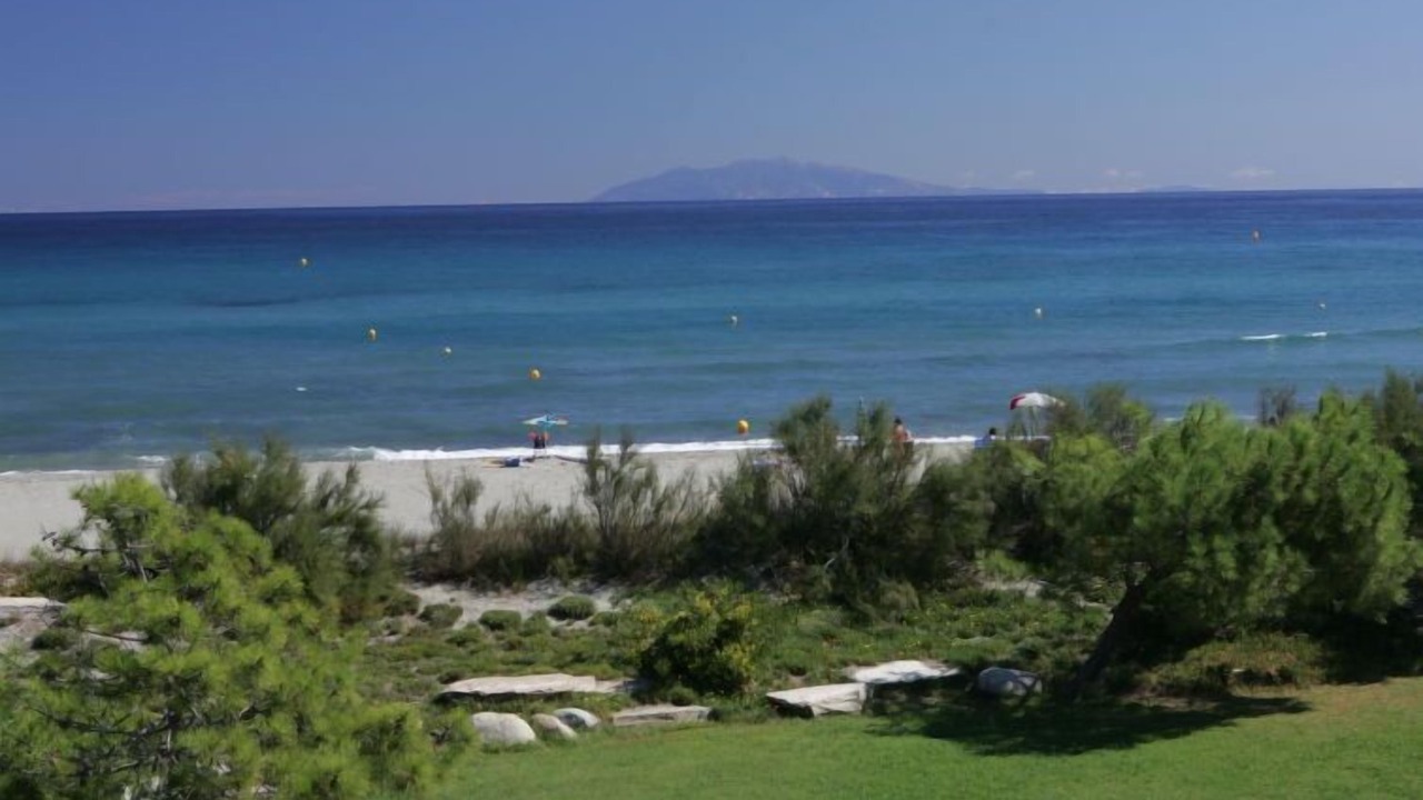 Photo of Others in Pineto