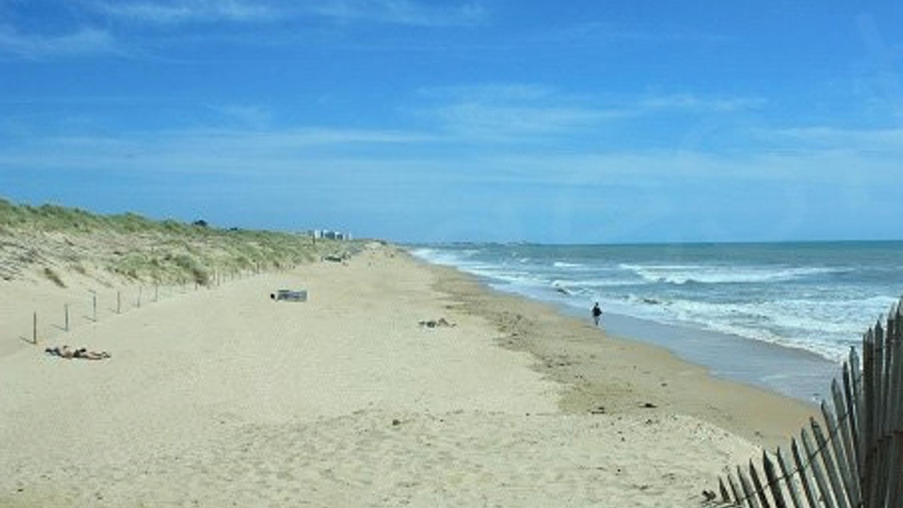 Photo of Others in Saint-Jean-de-Monts