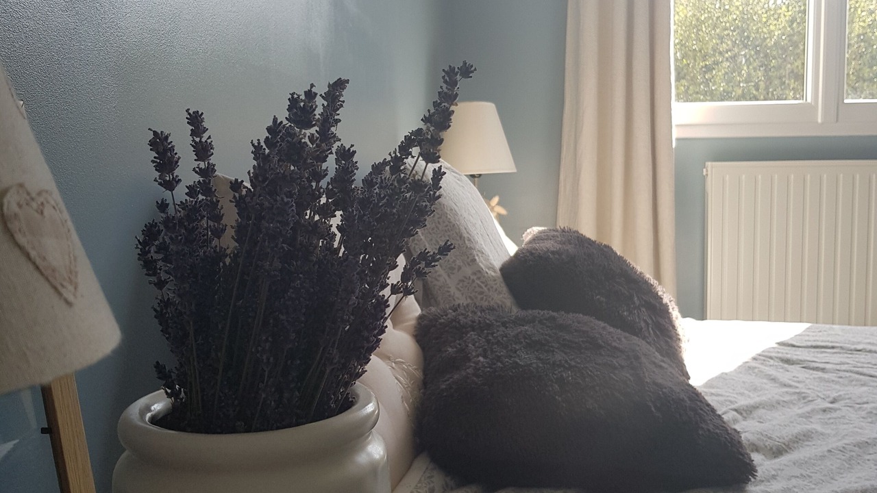 Photo of Bedroom in Corbas