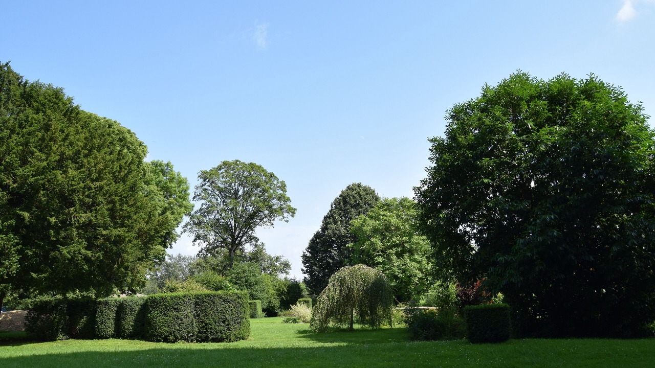 Photo of Outdoor in Mazerny