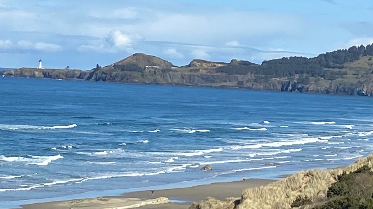 Photo of Others in Agate Beach