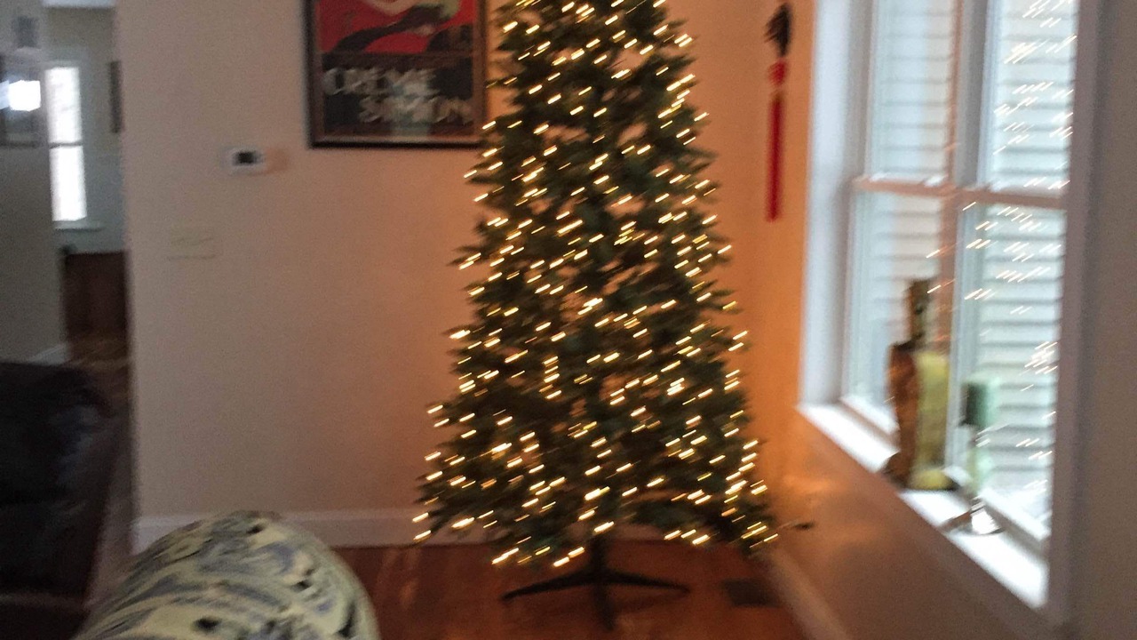 Photo of Others in Lee