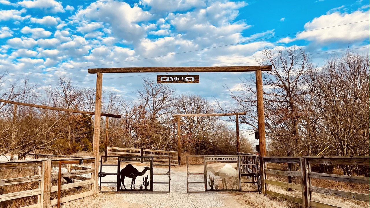 Photo of Outdoor in Henryetta