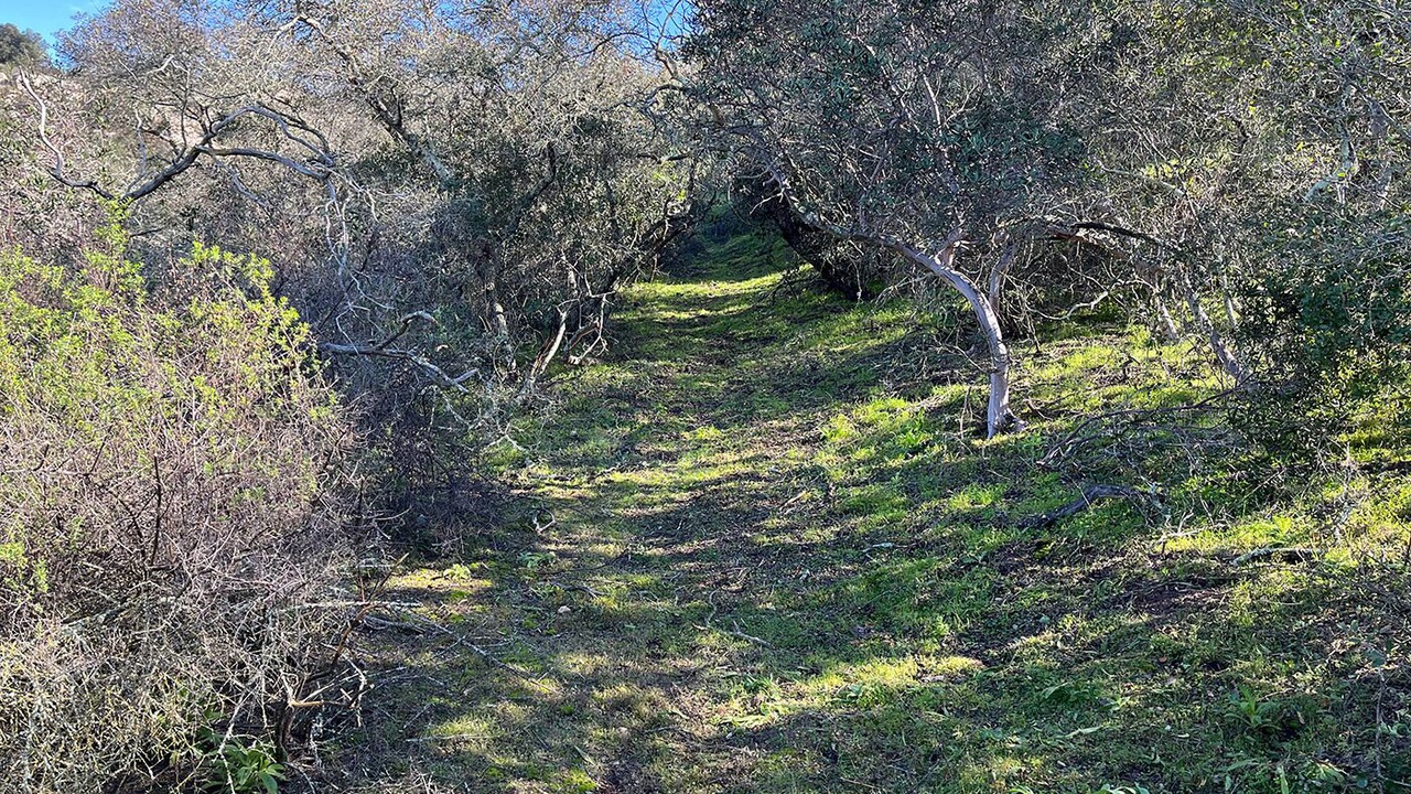 Photo of Outdoor in Ramona
