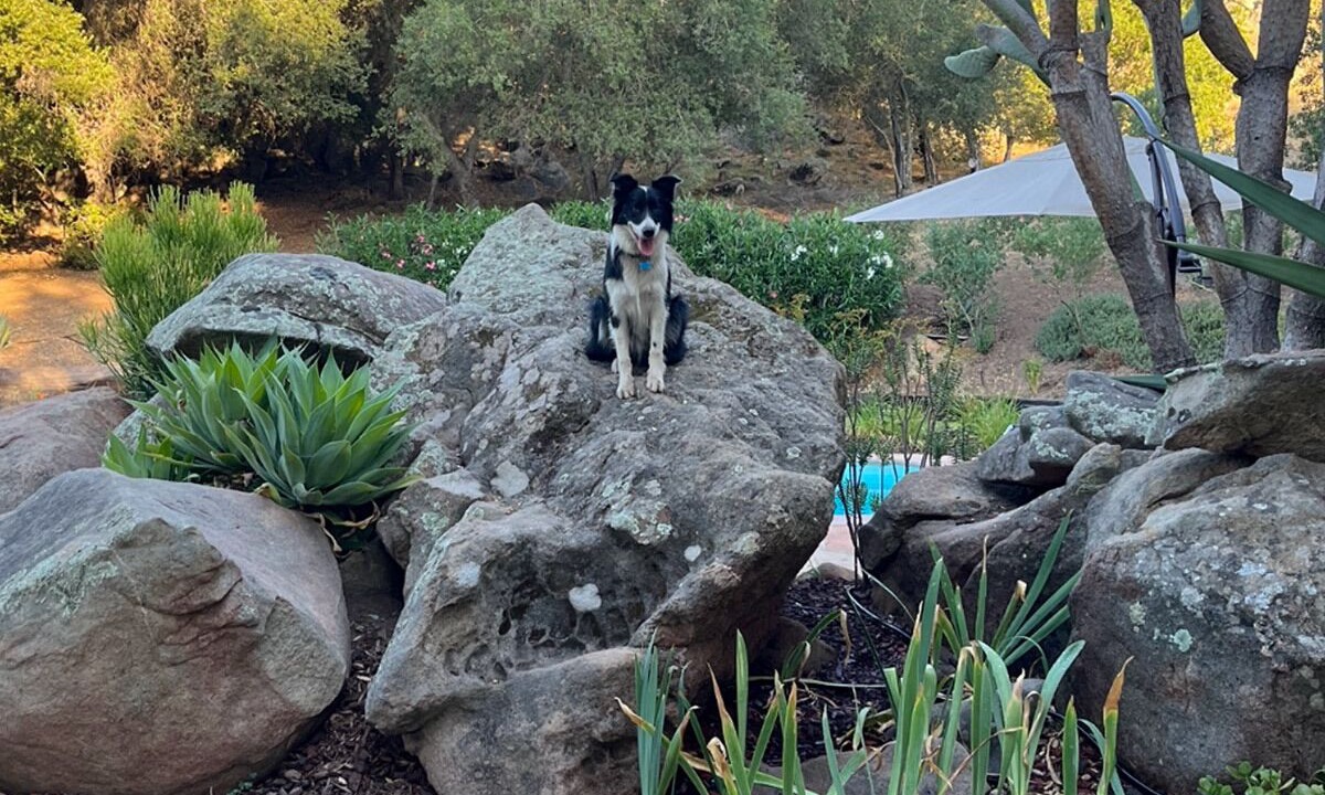 Photo of Others in Ramona