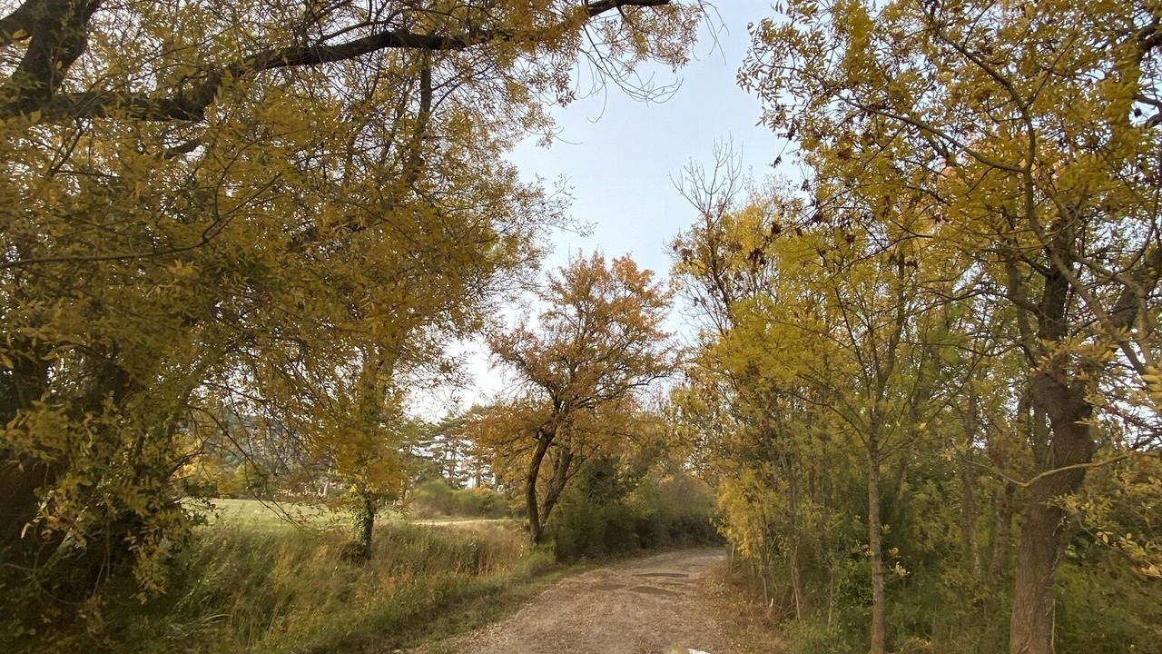 Photo of Outdoor in Volx