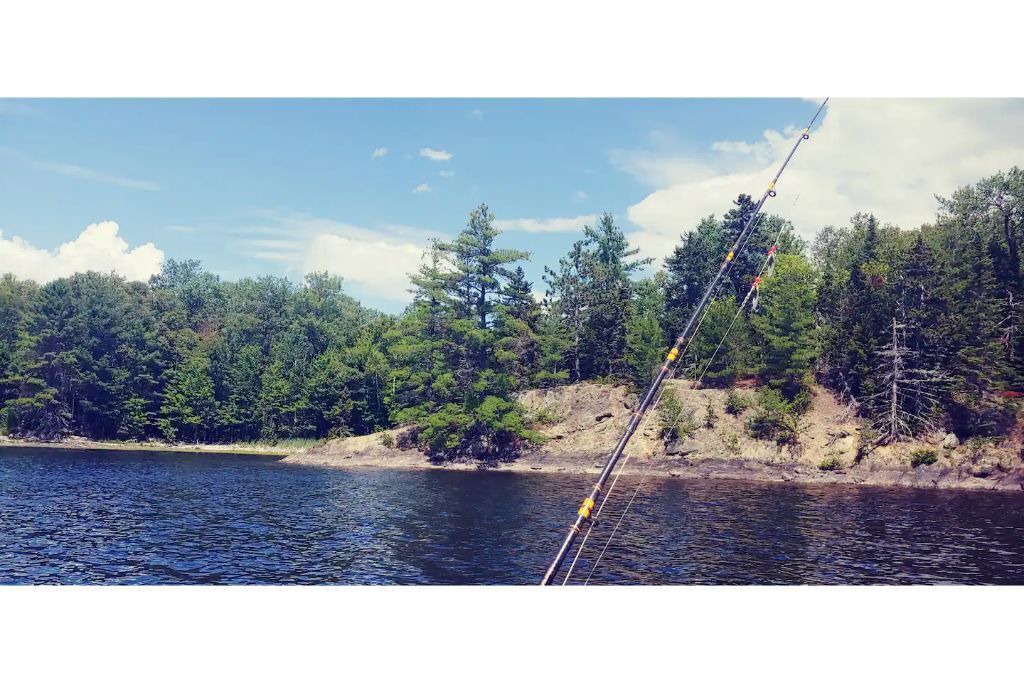 Photo of Others in Patten