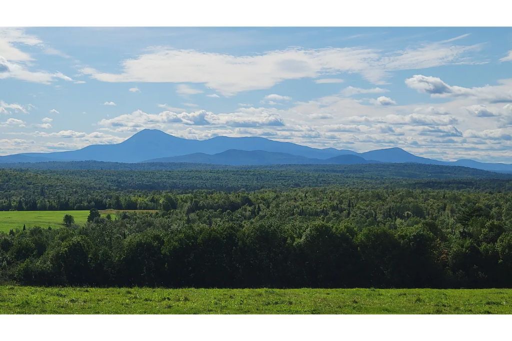 Photo of Others in Patten