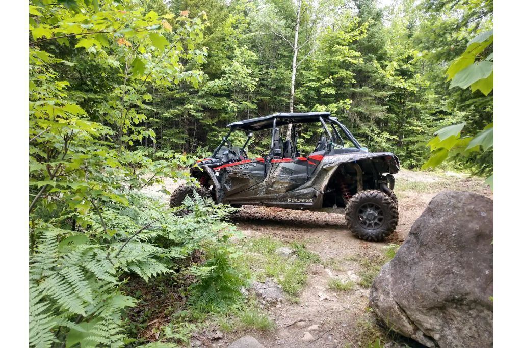 Photo of Others in Patten