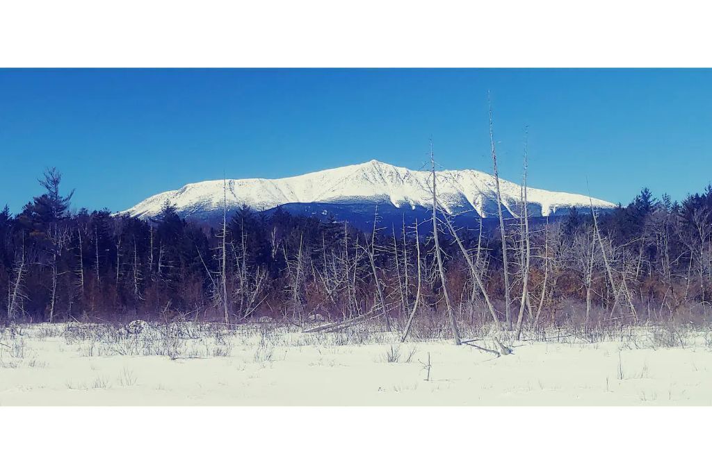 Photo of Others in Patten