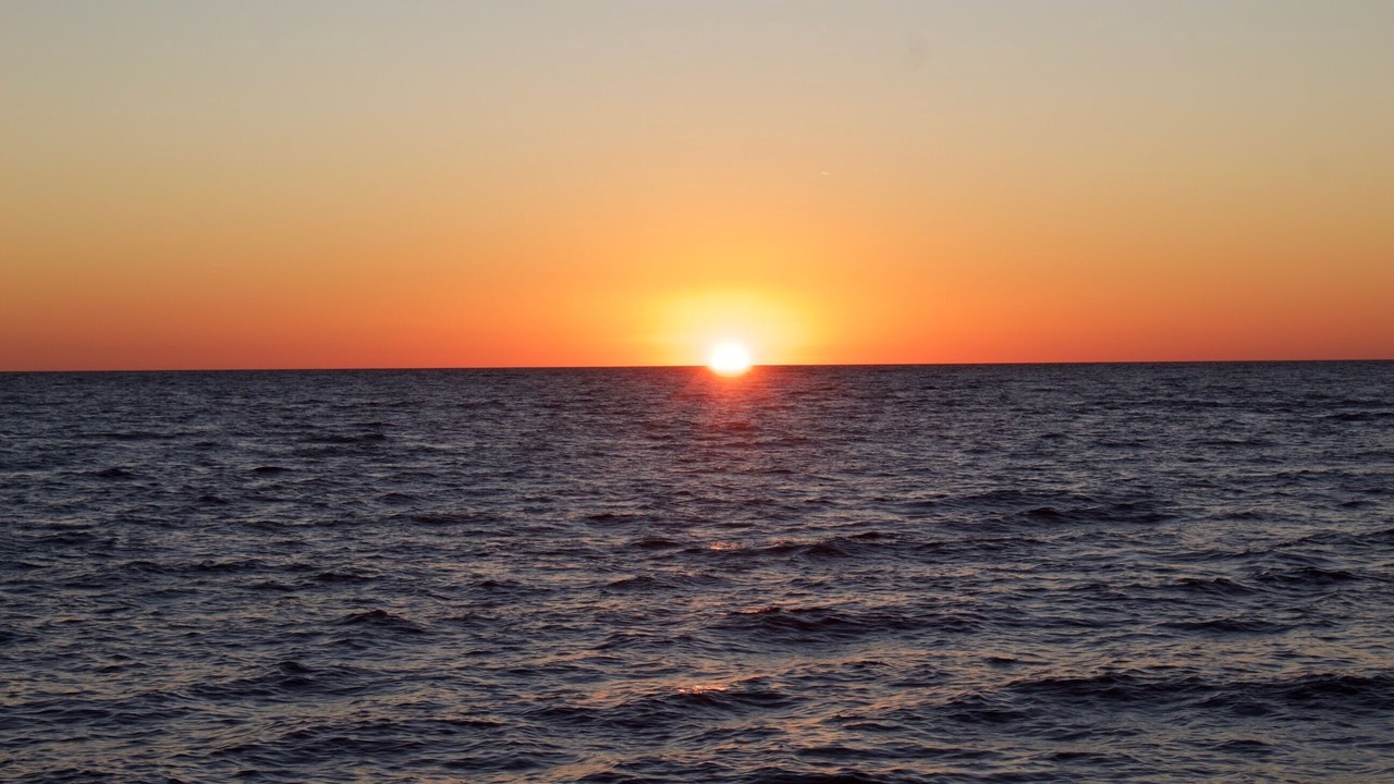 Photo of Others in Alligator Point