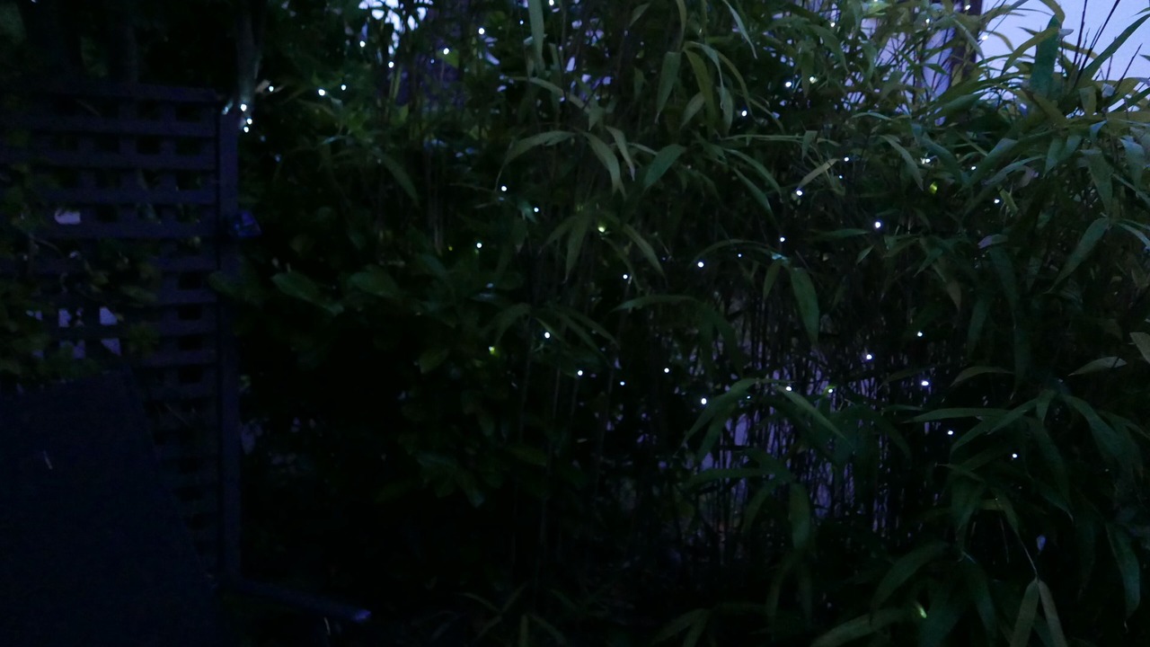 Photo of Others in Framlingham