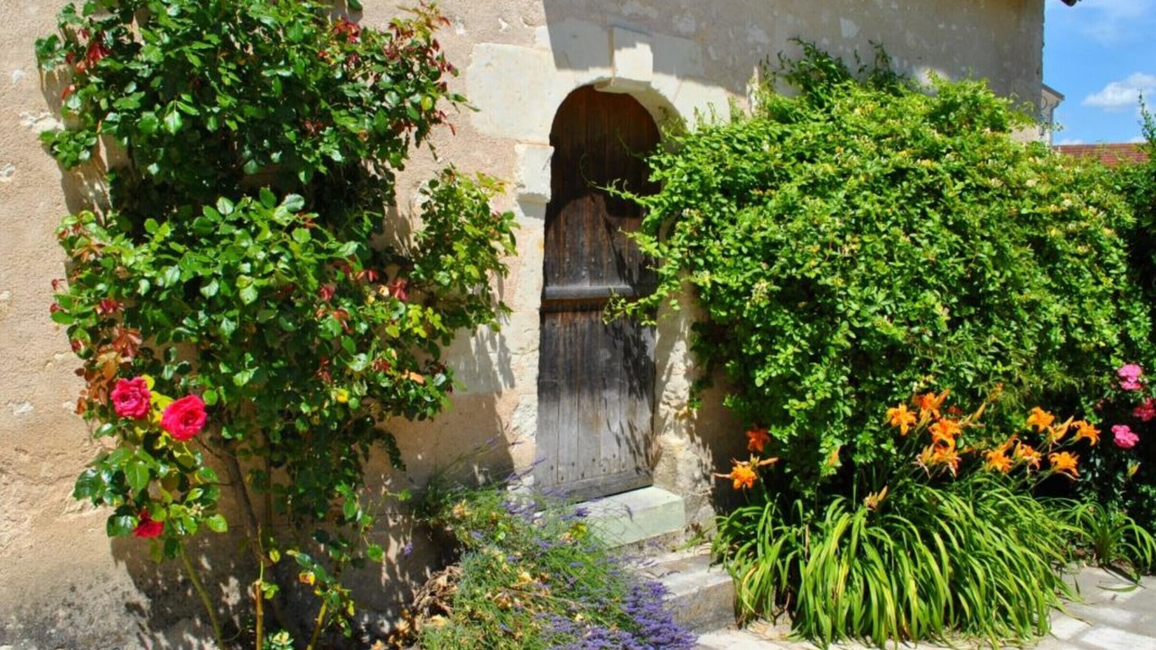 Photo of Outdoor in Bossay-sur-Claise