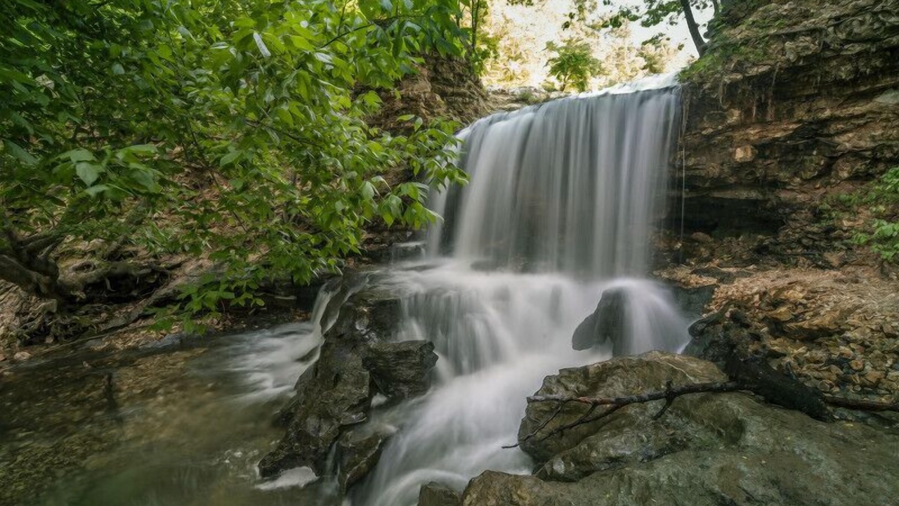 Photo of Others in Bella Vista