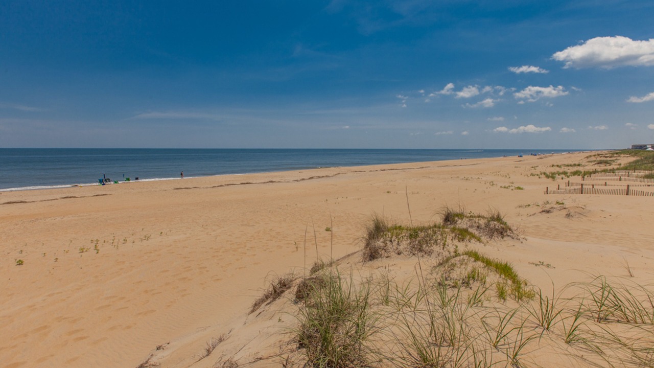 Photo of Others in Sandbridge