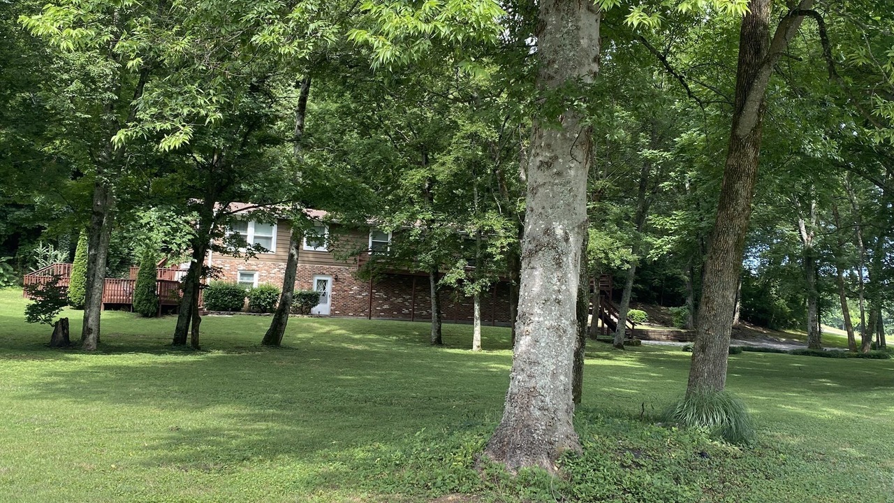 Photo of Others in Brentwood
