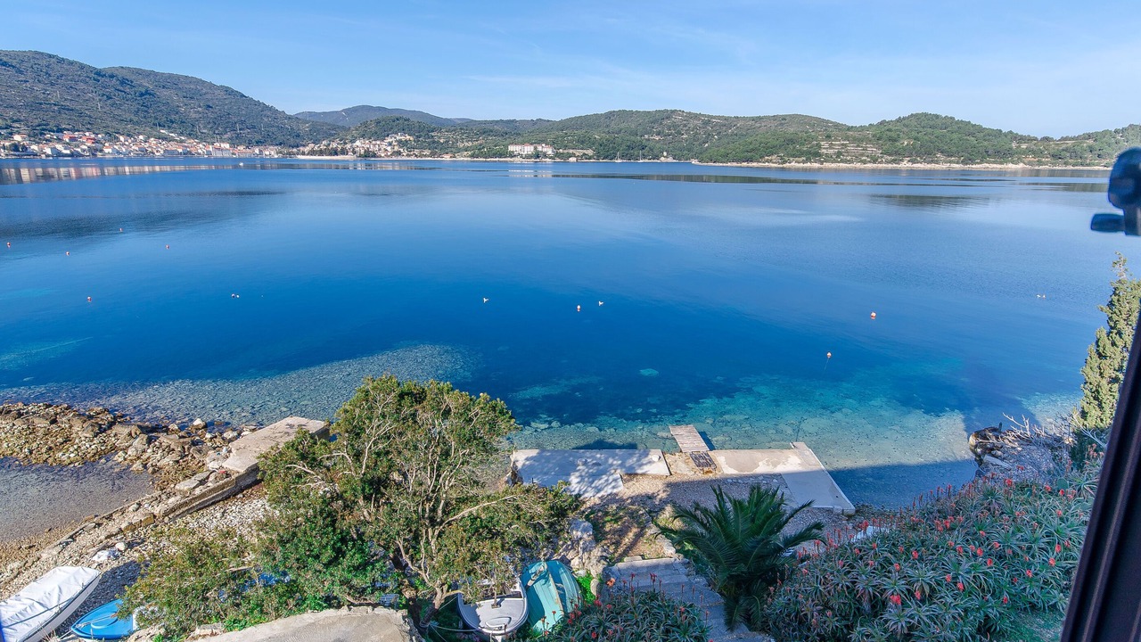 Photo of Others in Vis