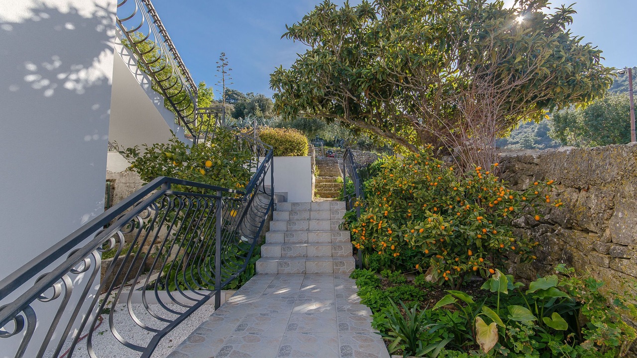 Photo of Outdoor in Vis