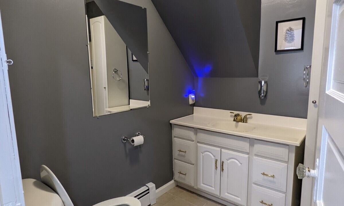 Photo of Bathroom in Livingston Manor