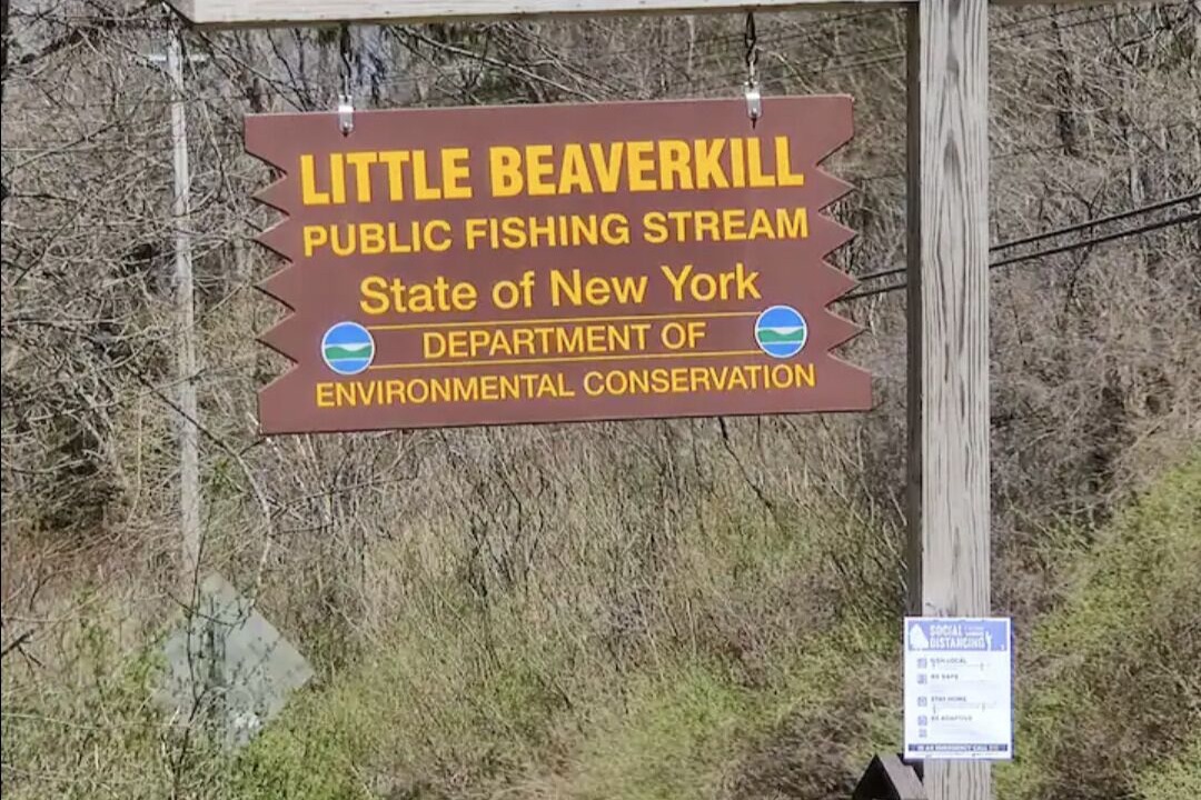 Photo of Outdoor in Livingston Manor