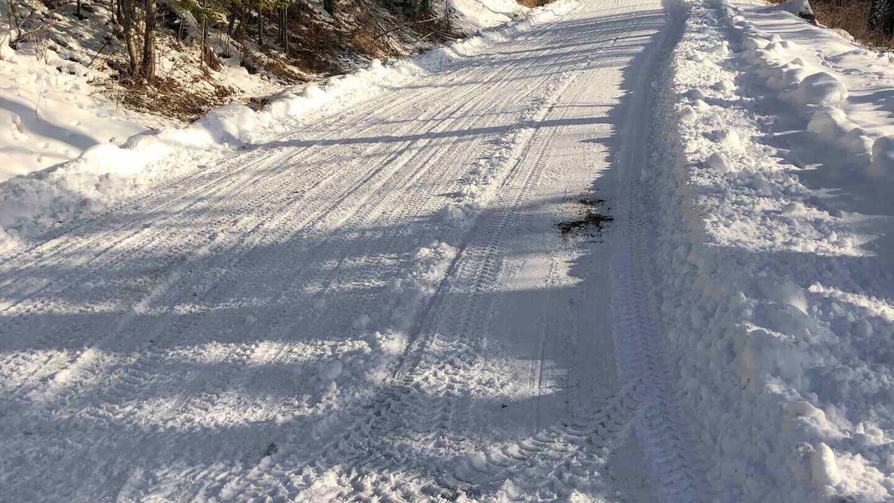 Photo of Outdoor in Bayview