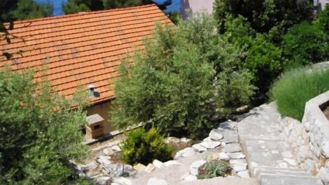 Photo of Outdoor in Prizba