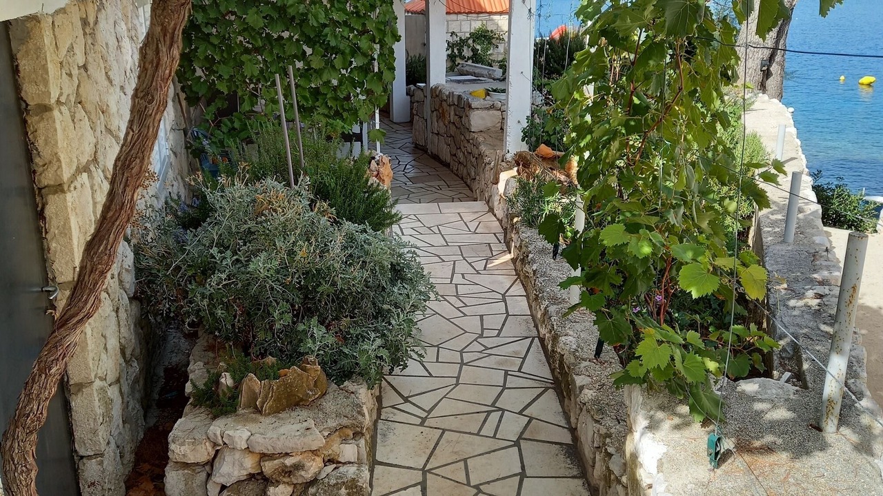 Photo of Outdoor in Sobra