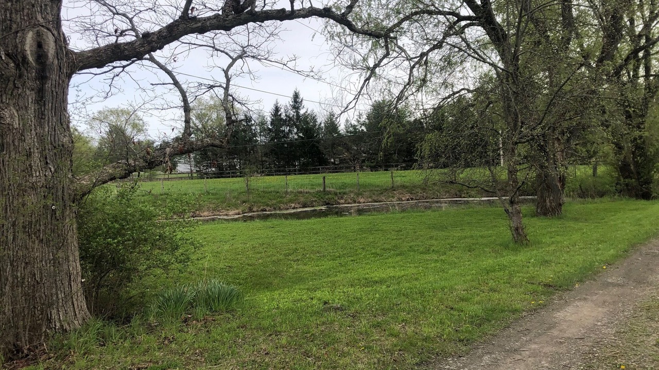 Photo of Outdoor in Freeville
