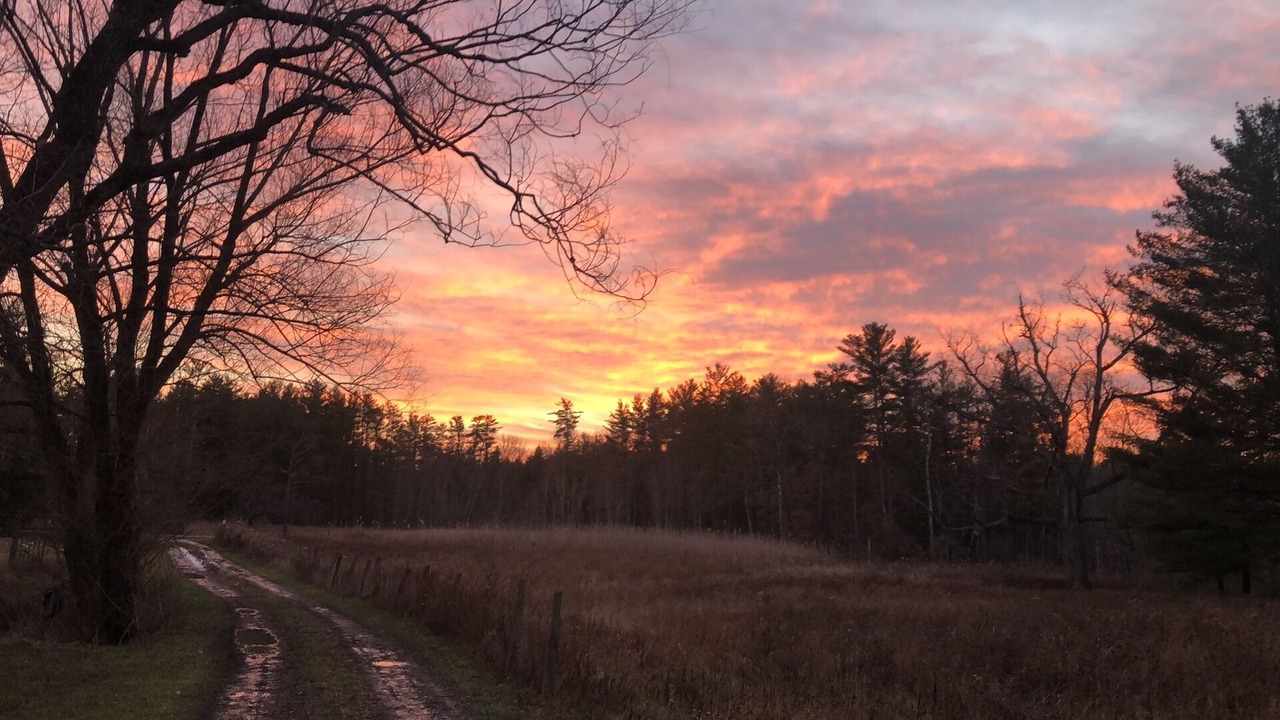 Photo of Outdoor in Freeville