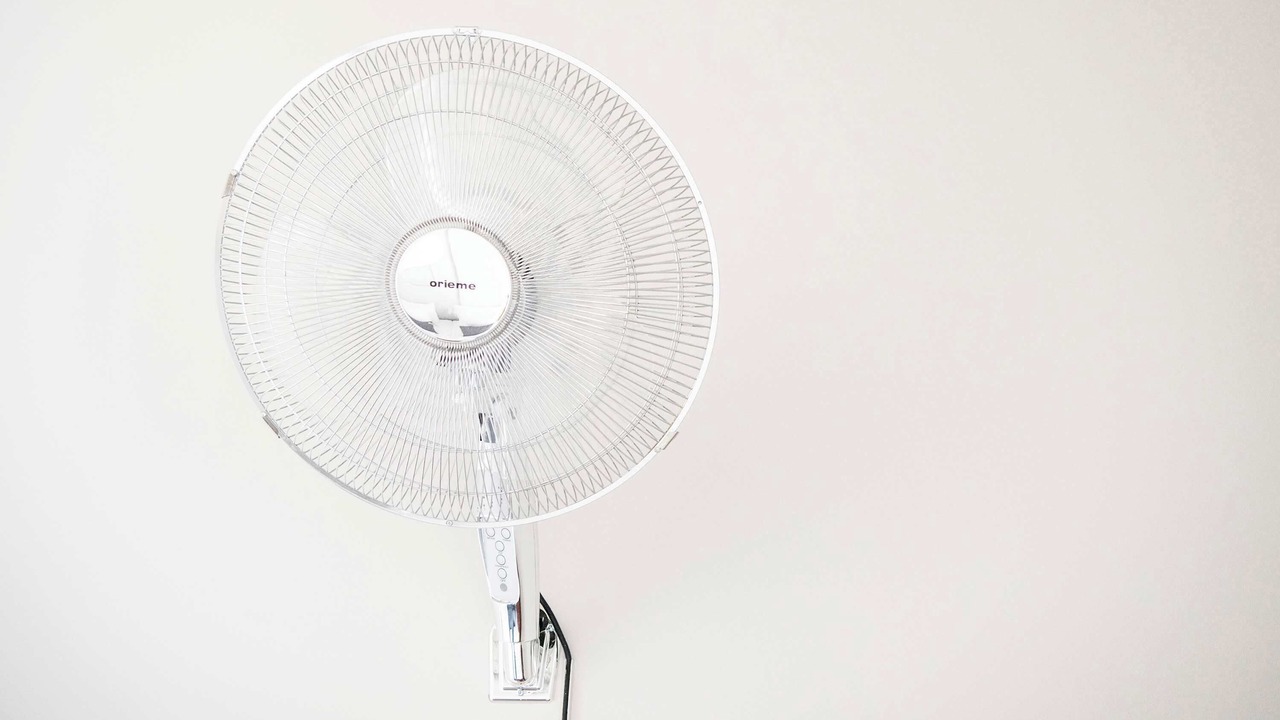 Photo of Others in Amager