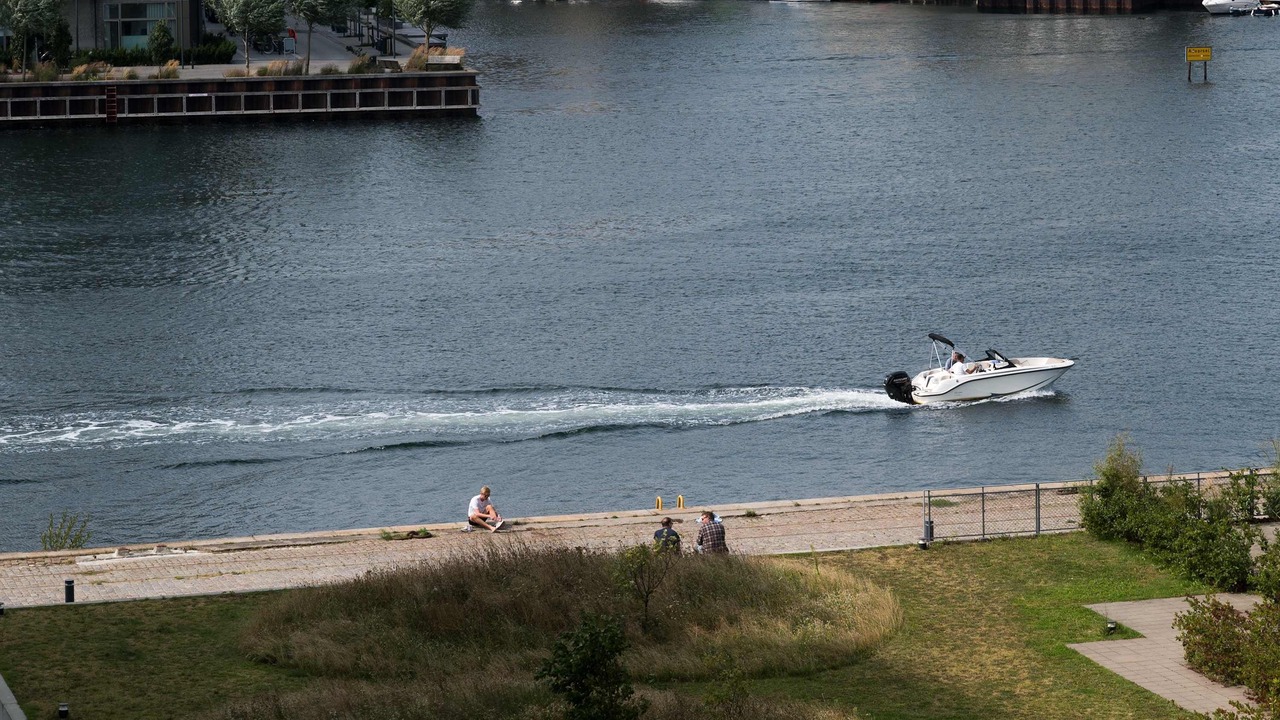 Photo of Others in Amager