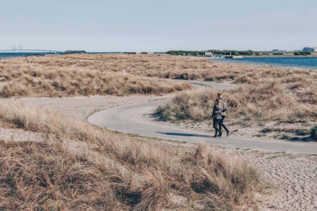 Photo of Others in Amager