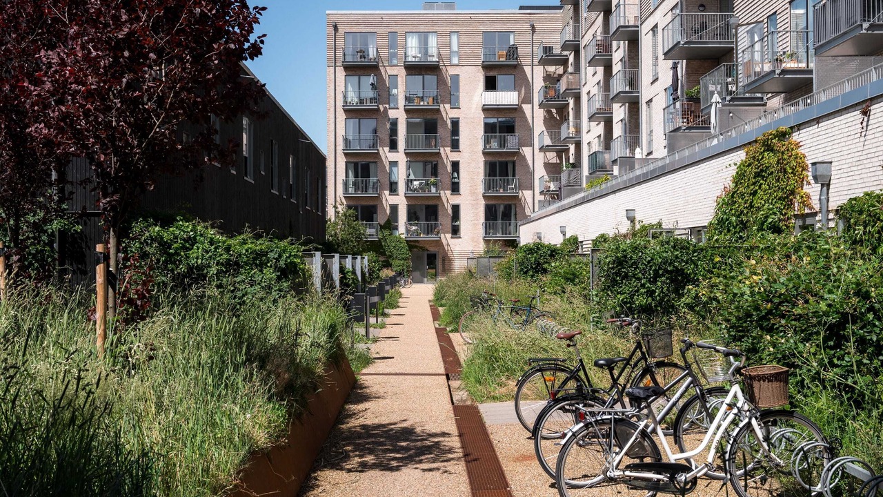 Photo of Outdoor in Amager