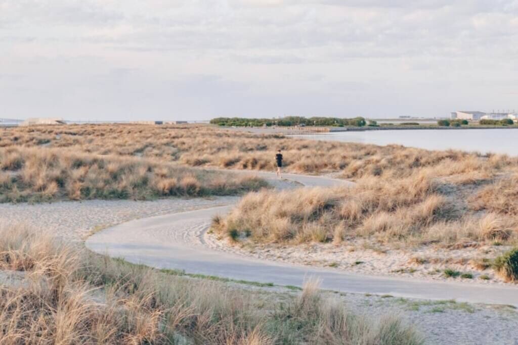 Photo of Others in Amager