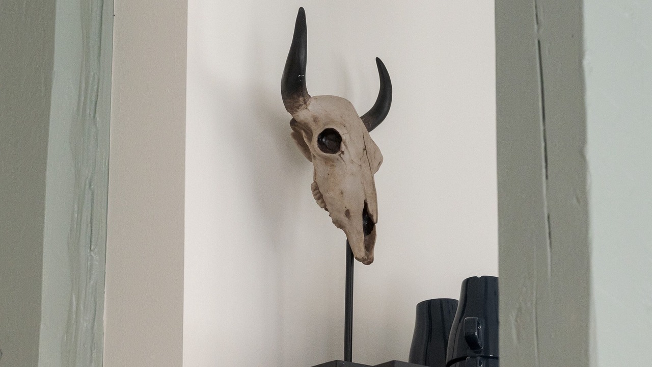 Photo of Others in Indre By