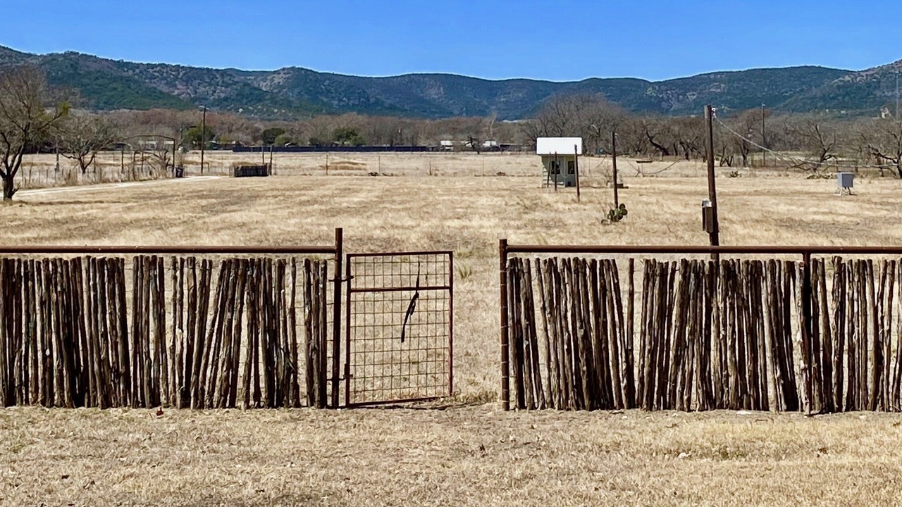 Photo of Others in Leakey